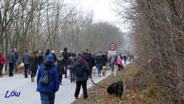 10.11.2018 - Eurasierherbsttreffen, Kaiserrast bei Stockerau